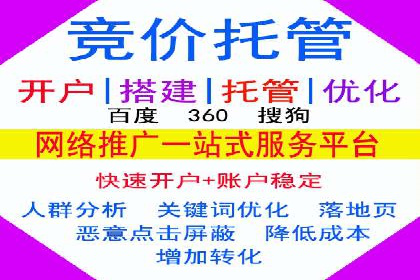 搜索引擎关键词竞价排名的策略调整与案例